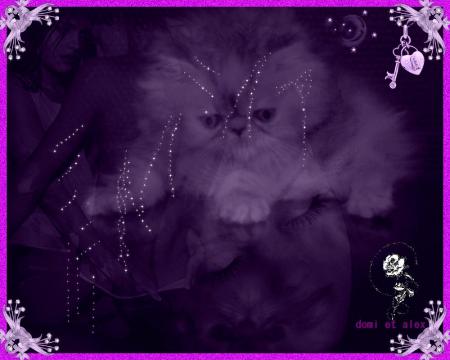 MERCI MON AMIE ( creadomietalex2 )