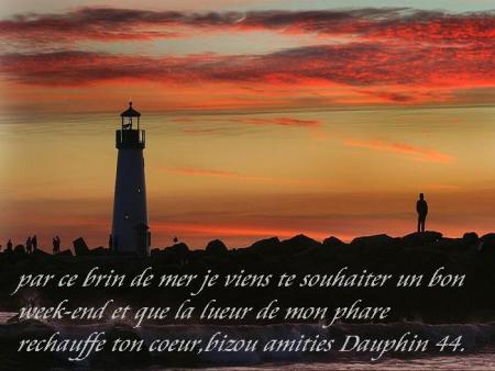 MERCI MON AMIE (dauphin44 )