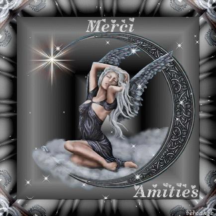 MERCI MON AMI ( andre02 )