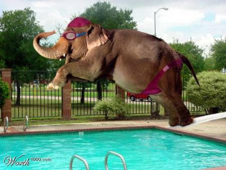 ATTENTION J' ARRIVE !!