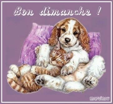 merci mon amie martinoucreas