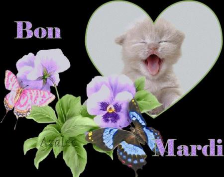 MERCI MON AMIE ( azalee )