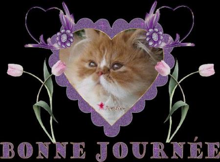 MERCI MON AMIE ( azalee )