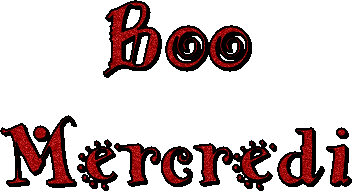 MERCI MON AMIE ( ninz )