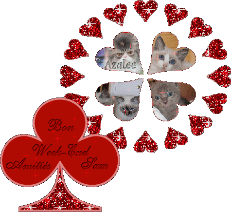 MERCI MON AMIE ( azalee )