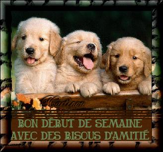 MERCI MON AMIE ( martinoucreas )