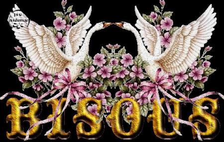 MERCI MON AMIE ( bellisima )