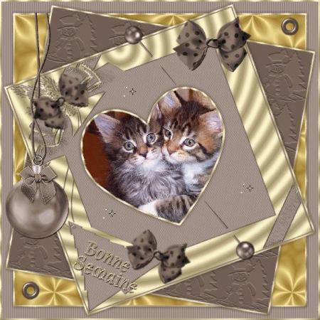 MERCI MON AMIE ( azalee )