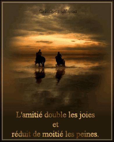 MERCI MON AMI ( andre02 )