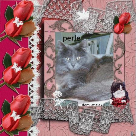 MERCI MON AMIE ( creadomietalex2 )