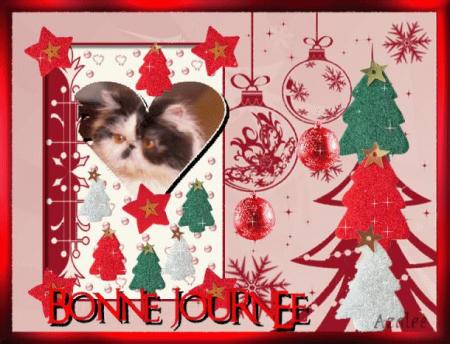 MERCI MON AMIE ( azalee )