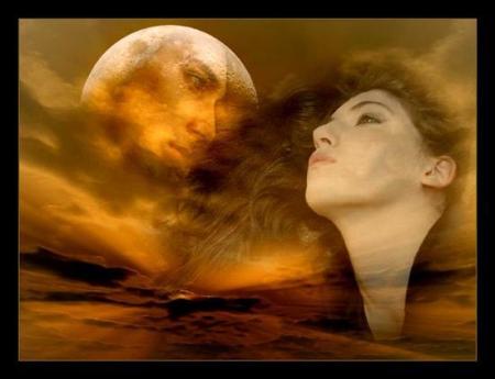 MERCI MON AMI ( andre02 )