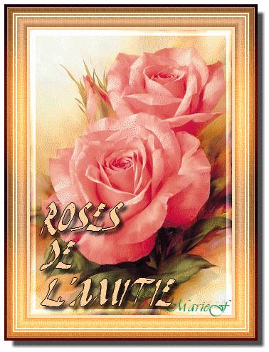 MERCI MON AMI ( andre02 )