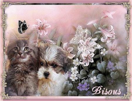 MERCI MON AMIE ( bellisima )