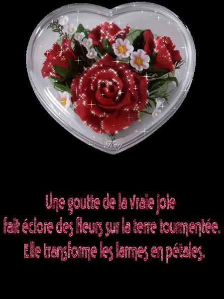 MERCI MON AMIE ( libellule-21 )