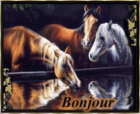 MERCI MON AMIE ( atina07 )