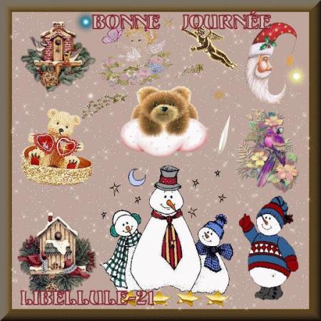 MERCI MON AMIE ( libellule-21 )