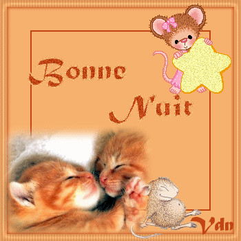 MERCI MON AMIE ( scoubi02 )