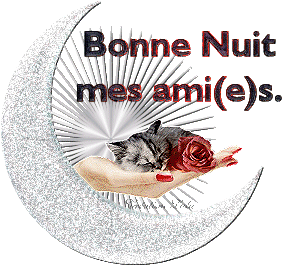 MERCI MON AMIE ( creadomietalex2 )