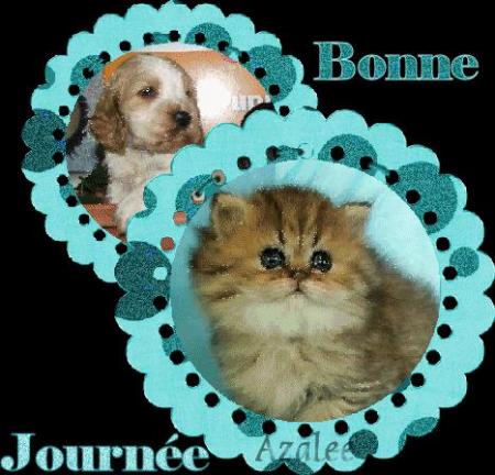 MERCI MON AMIE ( azalee )