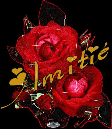 MERCI MON AMI ( andre02 )